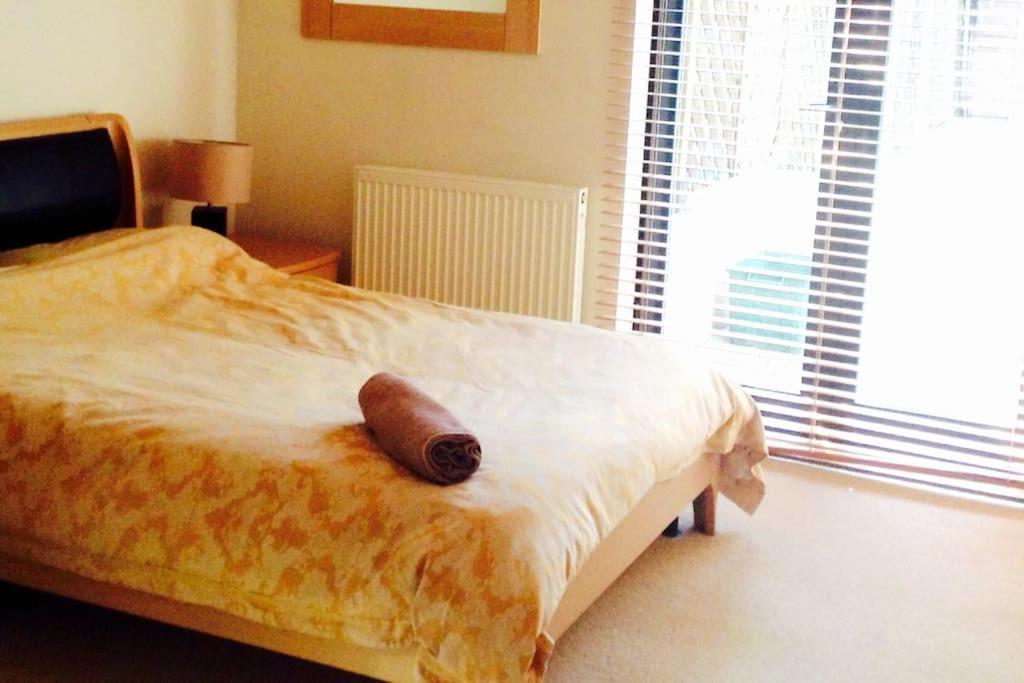 Apartament Garden Flat, Wimbledon & Parking, Close To Tennis Londra